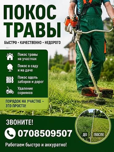 Клининговые услуги: Уборка территории, Стрижка газона — 1