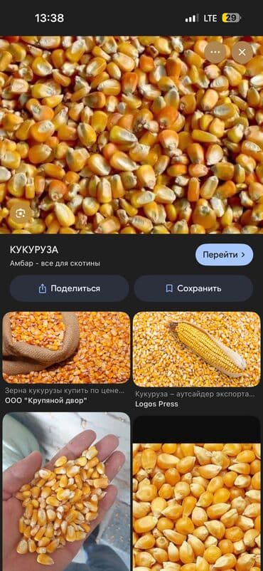 Уход и хранение одежды: Кукуруза — 1