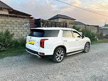 козырьки на авто: Hyundai Palisade: 2020 г., 2.2 л, Дизель, Кроссовер — 10