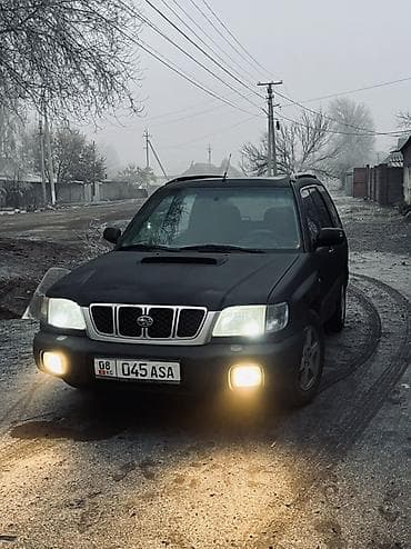 Subaru: Subaru Forester: 2003 г., Механика, Бензин, Универсал — 3