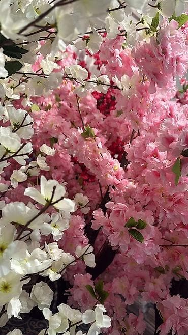 искусственная сакура: Искусственные декоративные деревья сакуры/вишни для оформления — 5