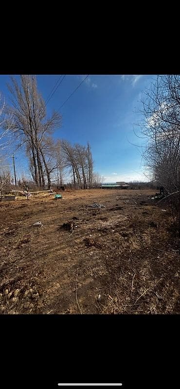 вагон чолпон ата: 6 соток, Бизнес үчүн, Кызыл китеп — 1