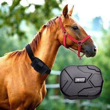 gprs: Влагозащита ip66 автомобильный портативный gps трекер tkstar tk905  на — 1