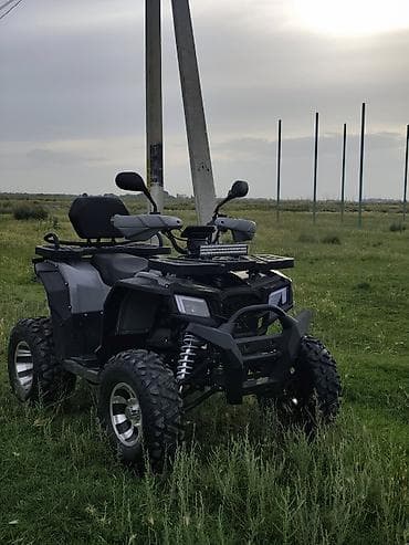 off roud: Квадроцикл Бензин, 250 куб. см, Взрослый — 1