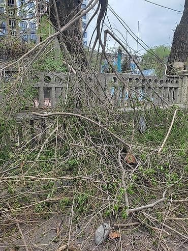 стол сатылат: Отун — 2