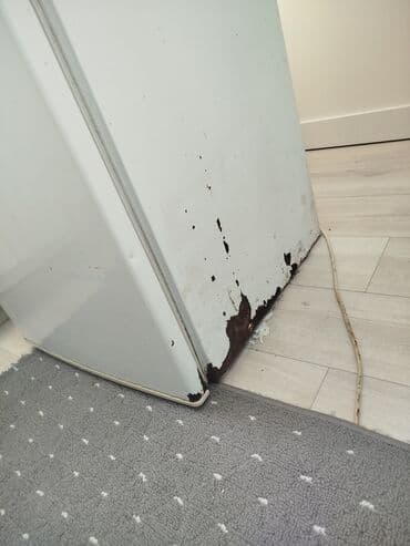 купить фритюрницу: Продаю холодильник работает хорошо - толко снизу ржавчина но это — 5