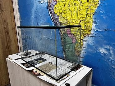 Аквариумы: Аквариум 40 литров прямоугольной формы.

+ декор в подарок — 1