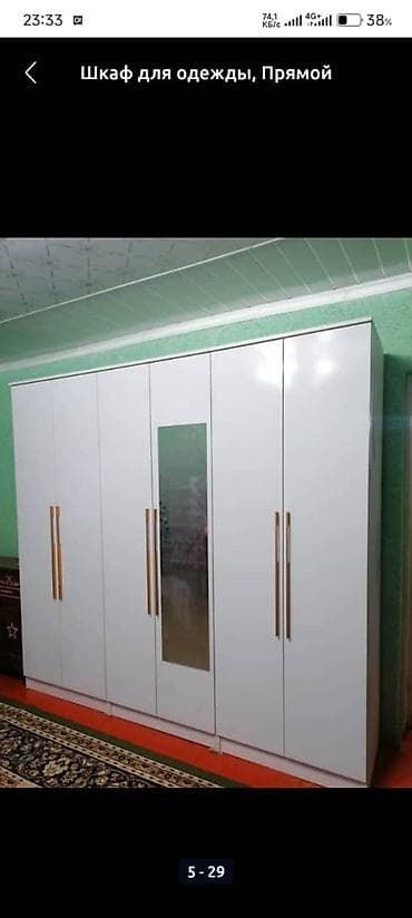 стол с тумбой: Шифоньер, шкаф для одежды, Прямой, ЛДСП — 4