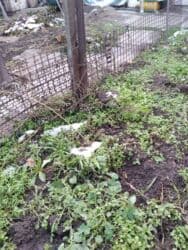 купить столик для кормления: Решетки для заборов — 1