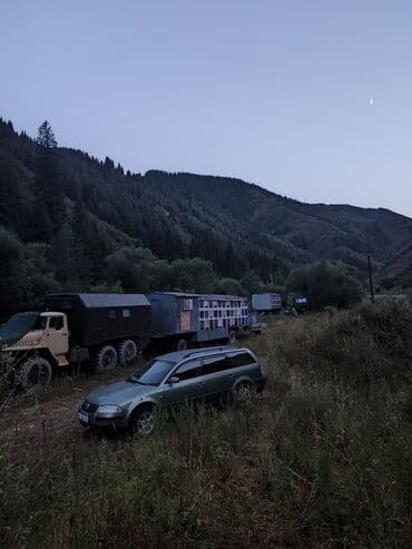 уголь в мешке: Мёд оптом — 6