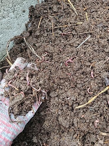 мешок для овощей: Солжылан биогумус чыгаруу учун, 1кг 100 сом кыгы менен болот — 3