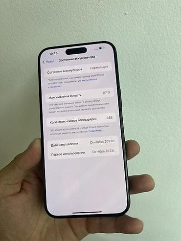 16 pro 512: IPhone 15 Pro Max, 1 ТБ, Black Titanium, Чехол, 87 % — 3
