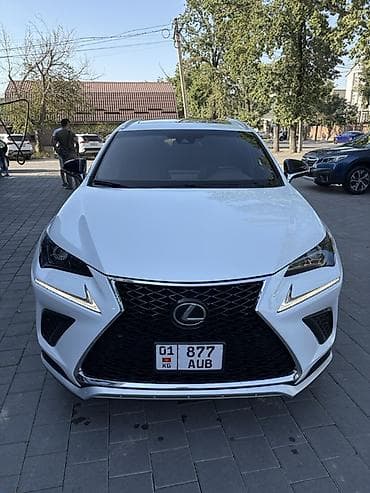 lexus e350: Lexus NX: 2020 г., 2 л, Автомат, Бензин, Кроссовер — 5