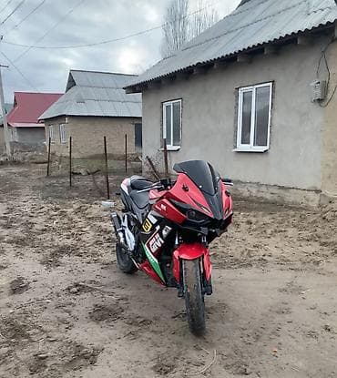 мото 250 кубов: Спортбайк Ducati, 250 куб. см, Бензин, Взрослый, Б/у — 4