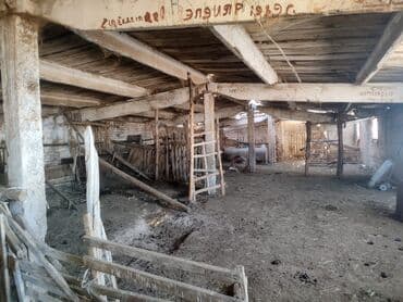 дом на иссык куле: 15 соток, Красная книга, Договор купли-продажи, Тех паспорт — 17