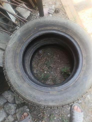 шины для автомобиля: Зимние шины Dunlop Winter Maxx 195/65 R15 91Q - Производитель: Dunlop — 3
