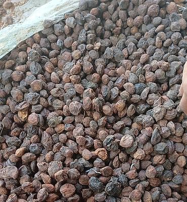 Продукты питания: Сушёная курага (абрикос без косточки), фасовка в прочные сетчатые — 2