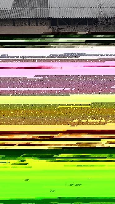 беларус 95: Daewoo Lanos: 1997 г., 1.3 л, Автомат, Бензин, Седан — 1