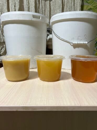 Мёд
Оптом
Иссык Кульский, есть белый есть светлый
Звонить по номеру at lalafo.kg Мёд
Оптом
Иссык Кульский, есть белый есть светлый
Звонить по номеру