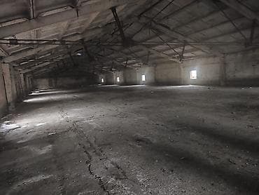 рыбные хозяйства: 800 соток, Для сельского хозяйства — 3