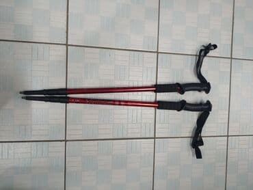 аренда сноуборда бишкек: Треккинговые трекинговые палки в аренду Скандинавские палочки — 2