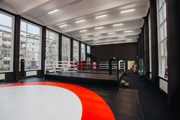 строительство мини футбольного поля цена: 🥋 Борцовские ковры, маты, боксёрские и ММА ринги под заказ 📌 — 6