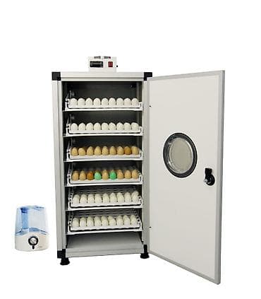 несушка инкубатор: На заказ с Турции инкубатор фул автомат. Гарантия 1 год! От 1000яиц — 8