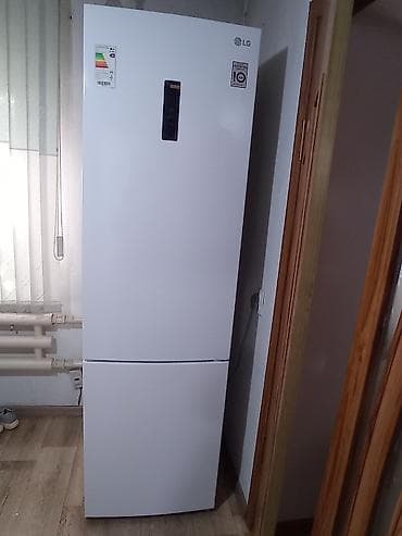 lg: Холодильник LG, Двухкамерный — 1