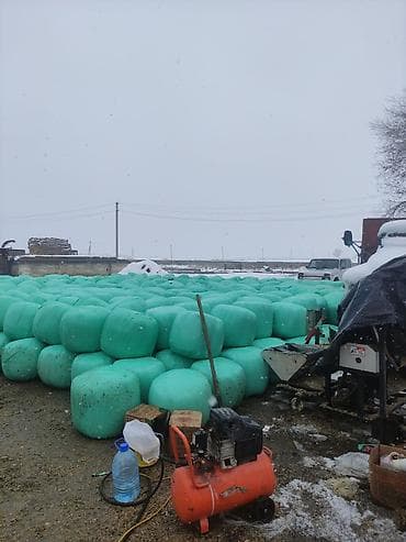 Силос 8 сом кг в бабинах доставка платная at lalafo.kg Силос 8 сом кг в бабинах доставка платная