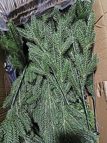 елки оптом бишкек: 🌟🎄 Новый год уже близко, и самое время подумать о праздничном — 6