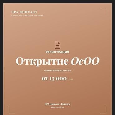Регистрация и открытие ОсОО (без иностранного участия) - Полное — 1