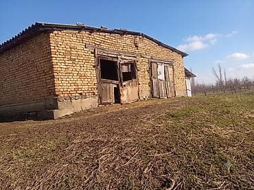 Земельные участки: 51 соток, Для сельского хозяйства, Договор купли-продажи — 8