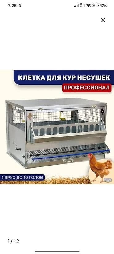 Клетка для кур-несушек «Профессионал» (1 ярус, до 10 голов)