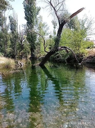 асфалть: Уборка территории уход за огородом за дачей, уборка 🌿трав, Мойка — 2