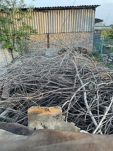 куплю бак: Дрова — 3