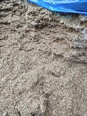 сельскохозяйственные животные продажа: Силос/сенаж кукурузный, измельчённый продам силос - Корм для КРС — 1