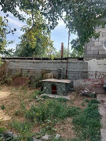 ак орго 1 9 сотых: 5 соток, Для строительства, Договор купли-продажи, Красная книга — 2