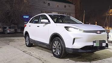 Унаа сатуу: Weltmeister EX5, 2020 г., 100000 км, Алдыңкы, Бар — 2