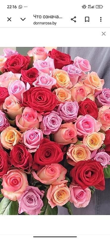 1001 роза: Ремонт курулуш иштерин сапаттуу жасайбыз нөлдөн баштап фундамент стене — 1