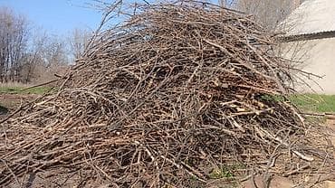 дрова бесплатно: Дрова — 2