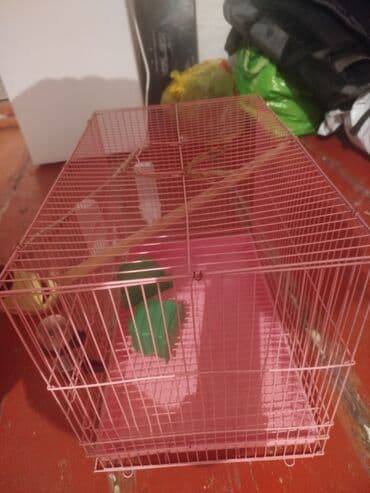 голуби голубей птицы: Клетка для птиц (розовая) - Просторная прямоугольная клетка из — 1