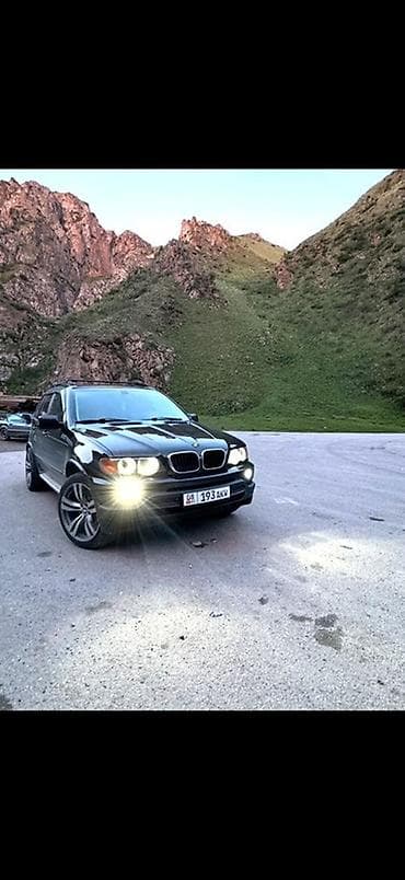 BMW X5: 2004 г., 3 л, Автомат, Дизель, Кроссовер