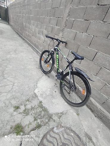 diska 13: Горный велосипед, Барс, Рама M (156 - 178 см), Сталь — 2