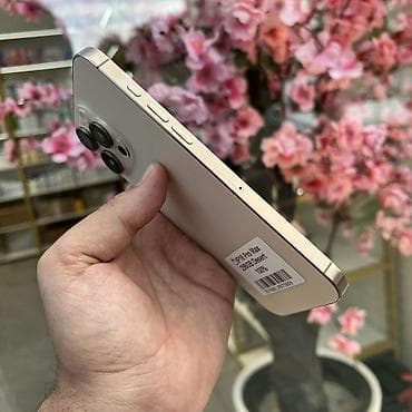IPhone 16 Pro Max, Колдонулган, 256 ГБ, Desert Titanium, 100 % — 4