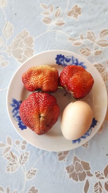 купить семена люцерны и эспарцета: Продаю саженцы клубники. Сорт альбион, гигантелла. Ремонтантная — 5