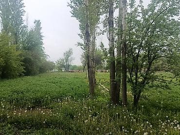 18: 18 соток, Для строительства, Красная книга — 1