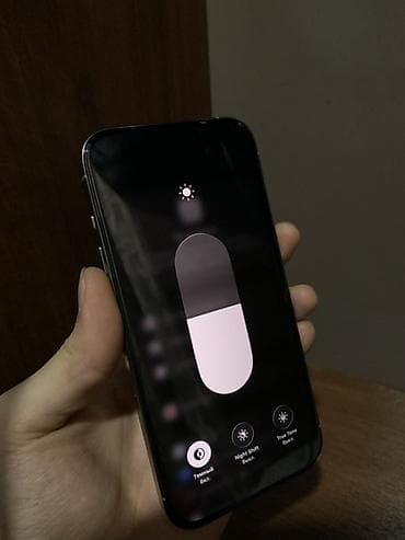 touch id: IPhone 15 Pro, 256 ГБ, White Titanium — 5