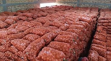 аммофос 50 кг цена бишкек: Пияз Дүңүнөн — 2