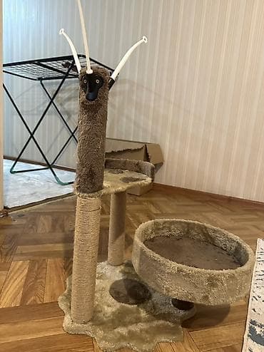 кактус говорящий: Игровой комплекс для кошек с когтеточками и лежанкой + прозрачная — 1