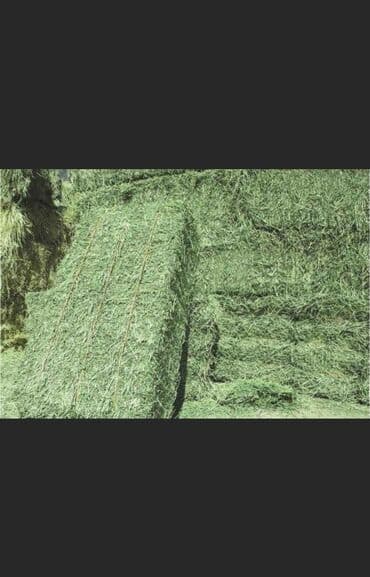 Продаю🍀 Чистый клевер🍀тюки хорошего качества, плотные, сухие! Сорт